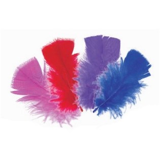 Πούπουλα Turkey για Χειροτεχνία Meyco 10-12cm / 20τεμ (24036)