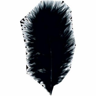 Πούπουλα για Χειροτεχνίες Meyco Marabou Μαύρο 10-12cm / 17τεμ (24010)