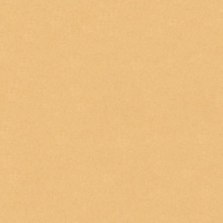 Χαρτόνι Κολάζ (Τύπου Canson) Μπεζ Άμμου 50x70cm. 220gr