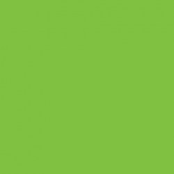 Χαρτόνι Κολάζ (Τύπου Canson) Πράσινο 50x70cm. 220gr