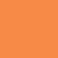 Χαρτόνι Κολάζ (Τύπου Canson) Πορτοκαλί 50x70cm. 220gr